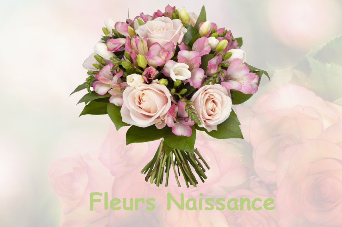 fleurs naissance SAINT-AUBIN-D-ARQUENAY